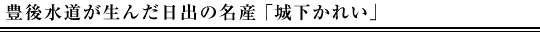 豊後水道が生んだ日出の名産「城下かれい」
